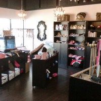 The Spa Pet Spa